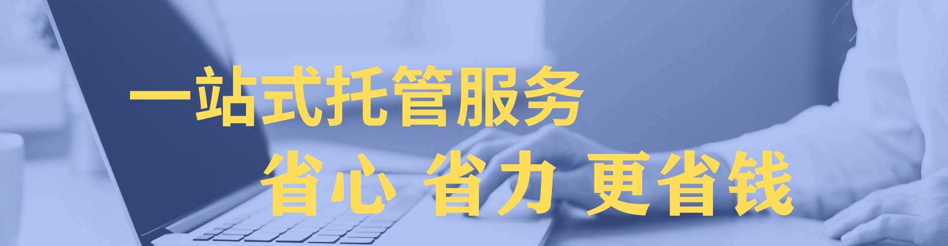 阳新sem优化